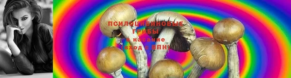 метадон Богданович